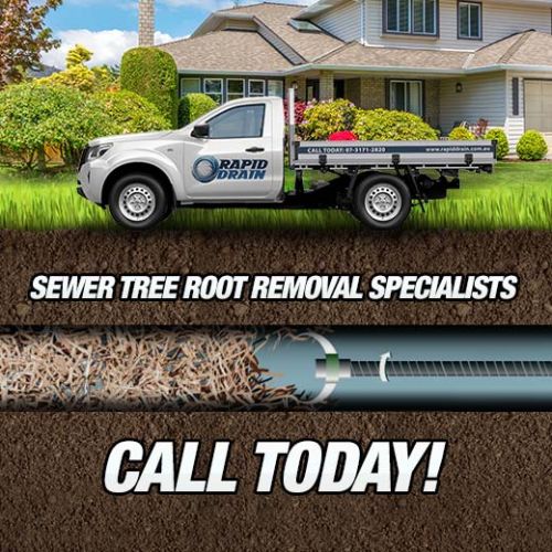 Sewer Tree Root Removal Specialists In Erobin